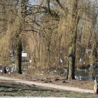 westerpark (26)